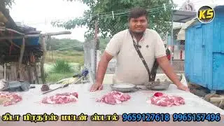 ஆட்டு கூறு கறி கிடா பிரதர்ஸ் மட்டன் ஸ்டால் பால்மடை திருச்சங்கோடு 9659127618 9965157496