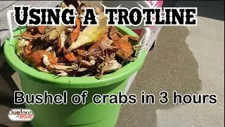 Blue Crab Crabbing: Maryland Bushel of crabs in 3 hours with trotline