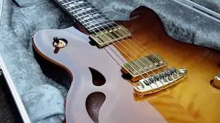 Taisto Guitars - AROK WG Guitar in Case 2019