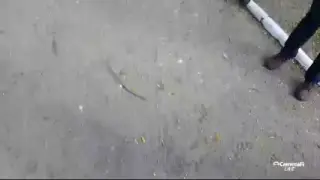 Oleh Boyko's broadcast