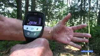 Canicule, calcul des températures de surfaces: forêt, peau, prairie, eau, bitume, voiture.
