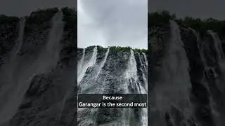 Fjord Safari 7/12