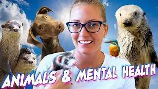 How Otters and Other Animals Are Good For Your Mental Health
