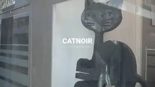 Modeagentur Cocron / CATNOIR / FS 21