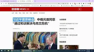 Google Translate Extension (Google Chrome)