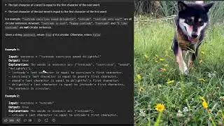 Python C++使用字串find迴圈速解Leetcode 2490  Circular Sentence