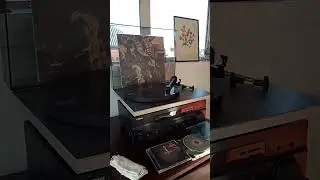 Friday Vinyl Spin. Bit of Rodney.