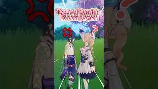 Types of Genshin Impact players