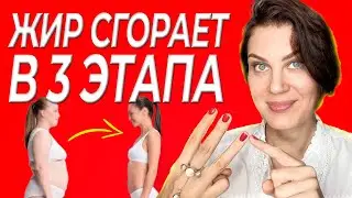 Как Быстро Похудеть Без Диет и Спорта / 3 Эффективных Способа Сбросить Лишний Вес