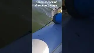 22 сентября 2023 г.