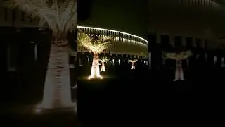 Новый влог с прогулкой по парку Краснодара уже на канале 🥰 #влог #краснодар #shorts