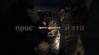 Спокойствие - твоя сила.