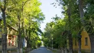 ...КЕНТАУ-ЛЮБИМЫЙ ГОРОДОК...