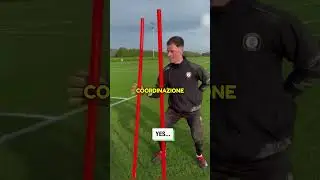 How Goalkeepers Train Their Reflexes 
