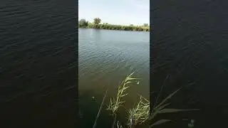 Грамотное Рыбоводство!))))Выходной!)) #животноводство