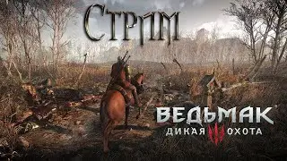 The Witcher 3: Wild Hunt  