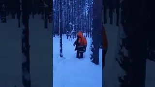 завалило снегом