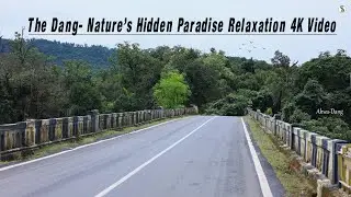Ahwa Dang Nature Therapy 🌿 | Deep Meditation & Relaxing 4K |#relexingvideos #meditation #dangforest