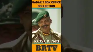 Gadar Macha Diya! | Gadar 2 Box Office Collection | Sunny Deol | BRTV