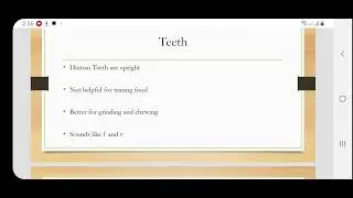 Origin of language.The physical adaptation source