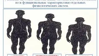 Лекция  Роль реактивности в патологии  На русском языке