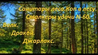 КОП в лесу.Санитары леса.Сталкеры удачи № 60. #коп2024 #приключение #лес