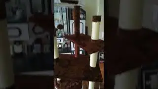 How to make happy your cat ... :)