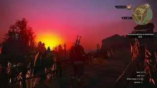 Witcher 3 Max Settings Gtx 1070ti & Ryzen 5 2400g ( ultra setting hd reworked)