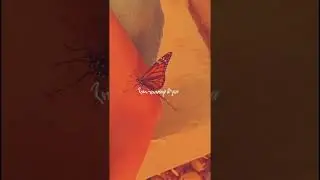 Edward Maya - Stereo Love / Whatsapp Status ♥️ #shorts #stereolove #whatsappstatus