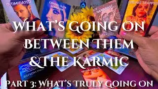 ✨They Dont Love The Karmic, They Love The Benefits. Karmic Is Intimidated Bc They Argue About You✨