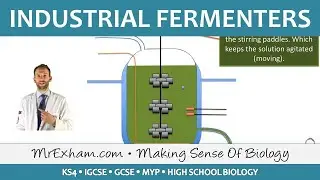 Food Production - Biotechnology - Fermenters - GCSE Biology (9-1)