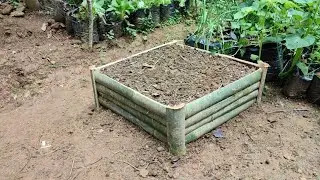 Build a raised garden bed for Gardening Cheap and Easy | gardening ideas at home