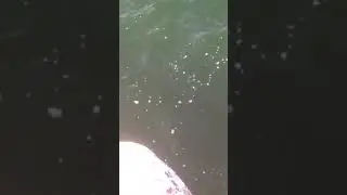 Набережная измира