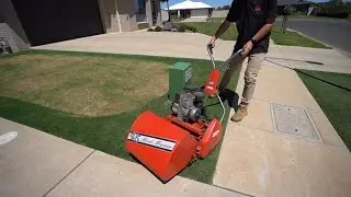 TifTuf Couch (Bermuda) Sanding and Green Maintenance // Liquid Fertiliser