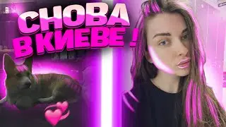 АРИНЯН ПРИЕХАЛА СНОВА В КИЕВ ! | АРИНЯН СНОВА В КИЕВЕ | АРИНЯН У СИМПЛА