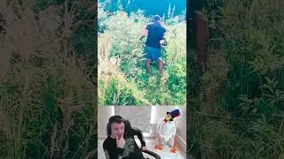 Сколько платить за покос травы на даче