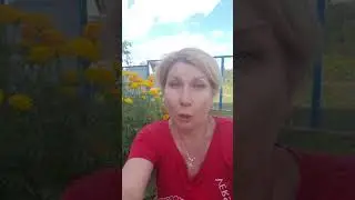 заработок в интернете