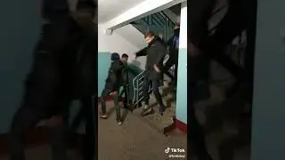 Я кракодил из Tik toka