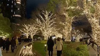 Tokyo Christmas Illumination 2022 [Slow TV] 4K