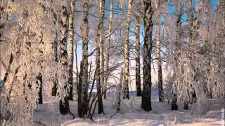 Стелла Джанни - Сердце на снегу