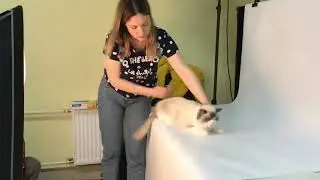 Пытаемся сфотографировать Эмили