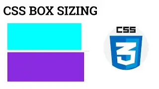 28 css box sizing property | css box sizing explained  | box sizing explain,border box