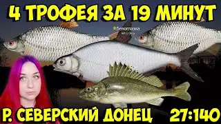 Трофейные  Белоглазка, Ёрш и 2 плотвы на р.Северский Донец в РР4