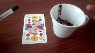 Lettura dei fondi di caffè (Caffeomanzia Interattiva)