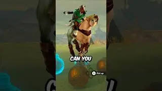 Things that Don't Make Sense in Zelda Tears of the Kingdom (2)