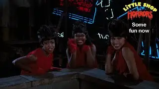 Some fun now | Little Shop of Horrors