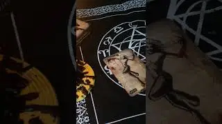 Новый штамм коронавируса Пилоры. Что будет?