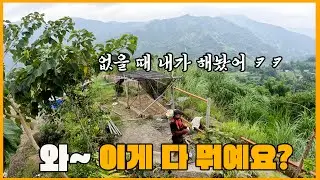 이틀만에 집에 돌아왔는데.. 필리핀 직원이 일을 이렇게나 해놨다고? 세부 산골 게스트하우스 이야기