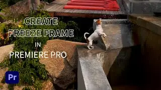 Create Freeze Frame in Premiere Pro