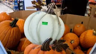 You Should Eat Pumpkin, How to cook pumpkins